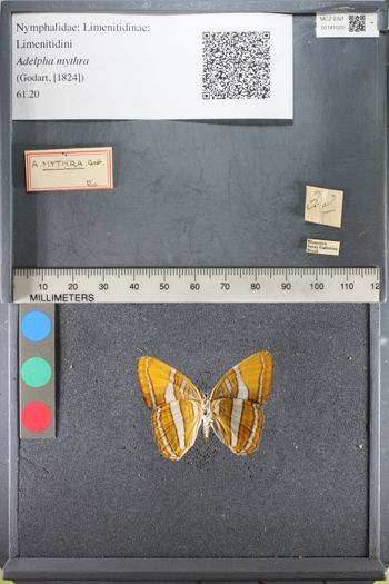 Media type: image;   Entomology 141020